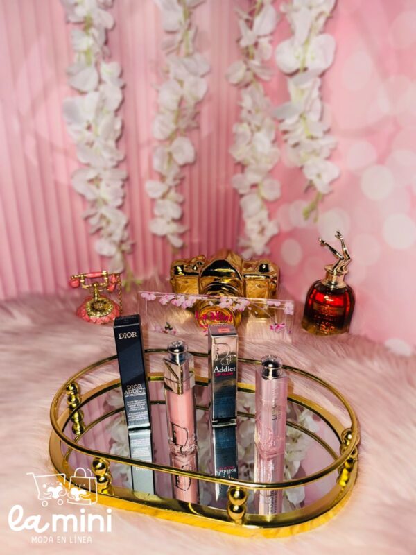 SET-DIO-006 SET GLOSS DIOR ADDICT